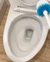 Laundry Detergent & Toilet Bowl Cleaner Kit