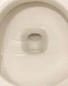 1 Year of Toilet Bowl Cleaner