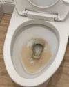 Toilet Bowl Cleaner Tablet Refills